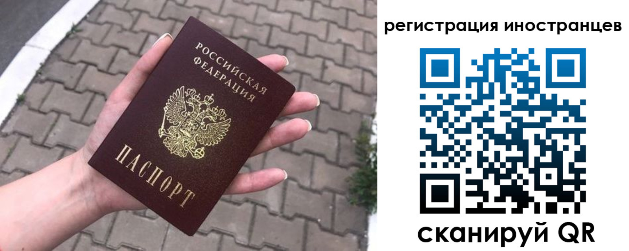 прописка от собственника в Курске